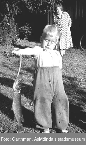 Alf Garthman håller upp en gädda. Sommar i Stannum (Olstorp, Gråbo), 1950-tal.