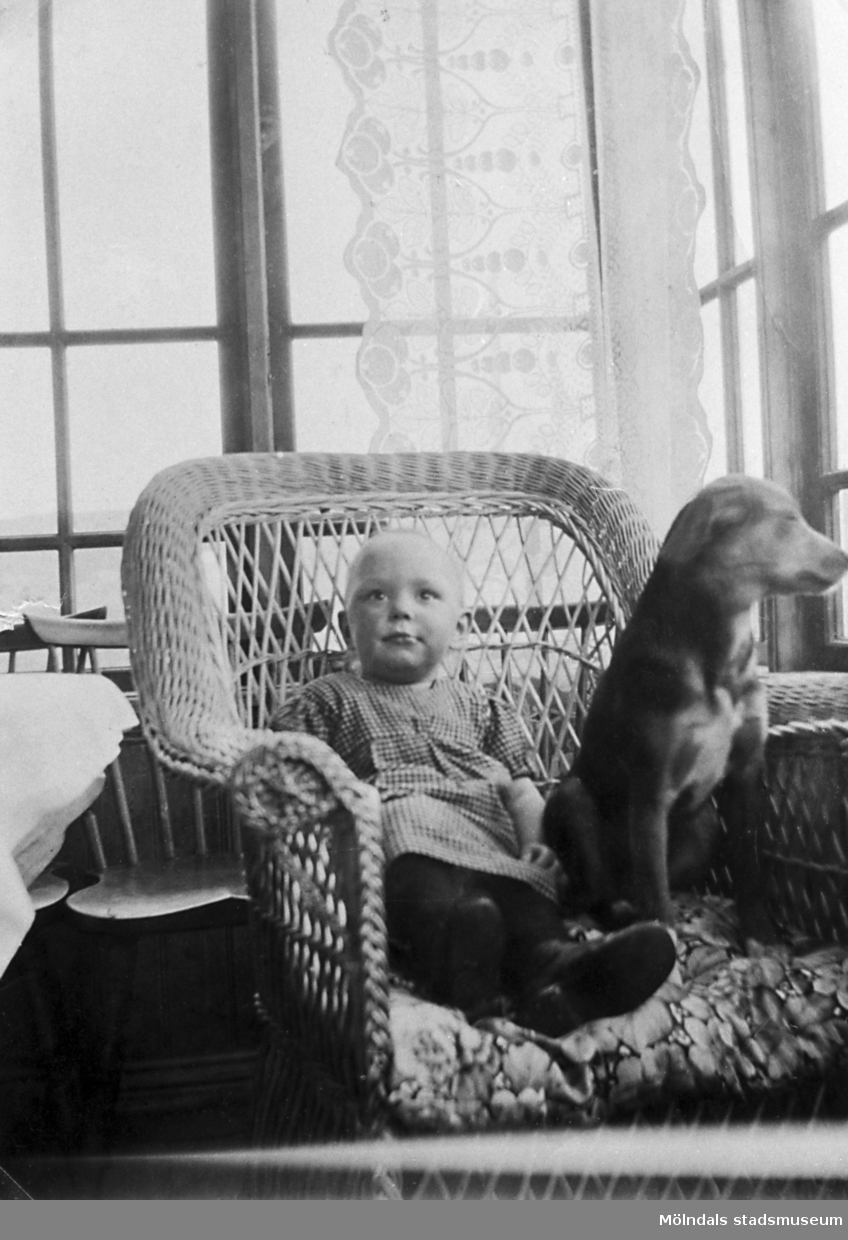 Nina Bengtsson (1918-1973) och en hund sitter i en rottingstol hemma hos mormodern i Labacka, 1920-tal. Föräldrarna var Natanael och Rut Bengtsson, Långåker (Hembygdsgården). Nina gifte sig senare med Gunnar Nilsson från Kärra i Mölndal.