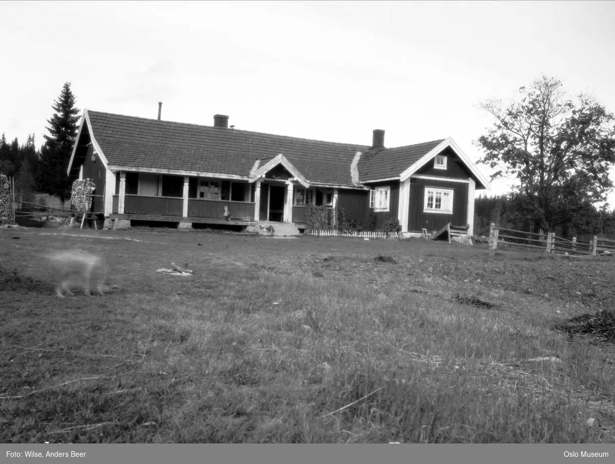 Trehörningen. Nordmarken. - Oslo Museum / DigitaltMuseum