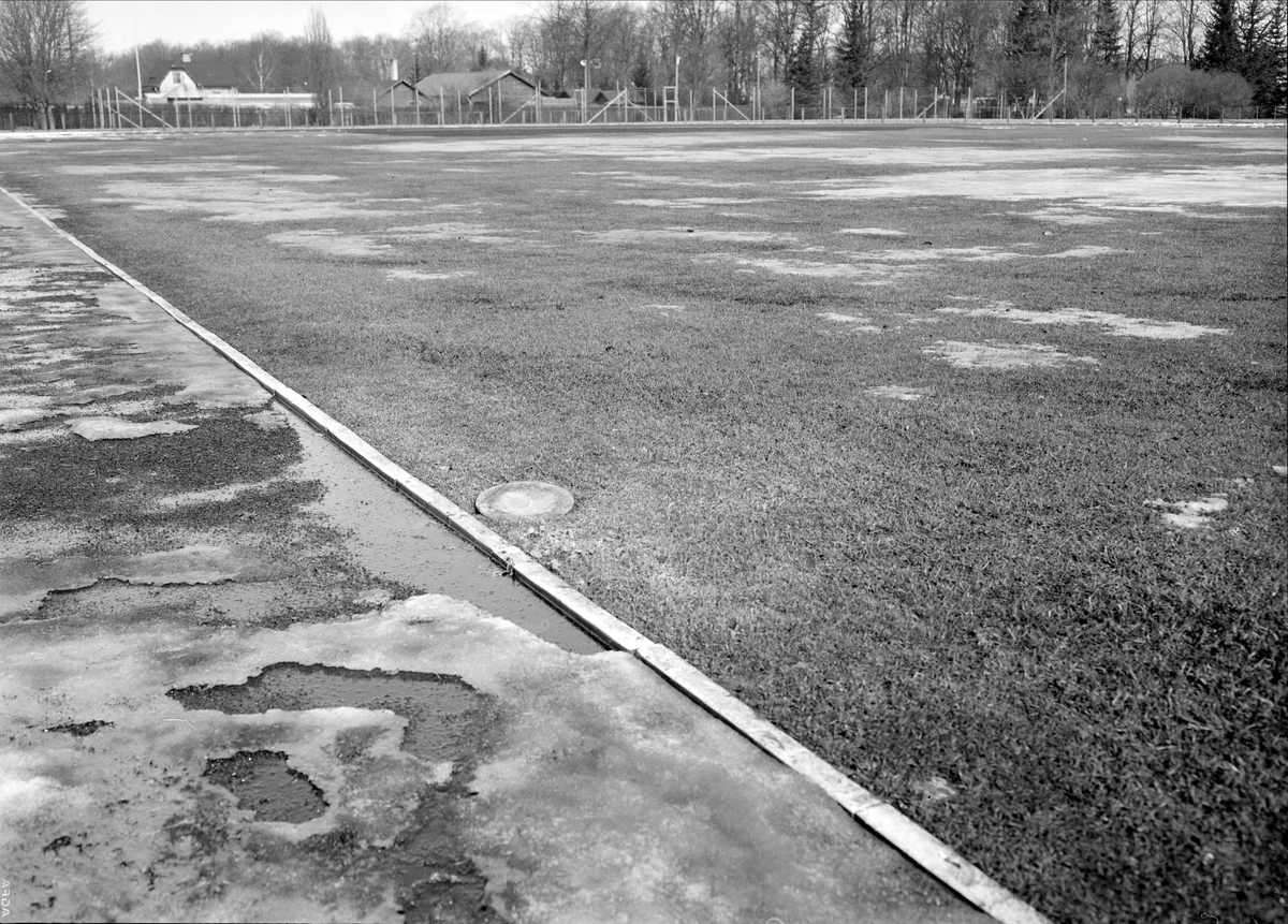 Isig gräsmatta på Studenternas Idrottsplats, Uppsala april 1937