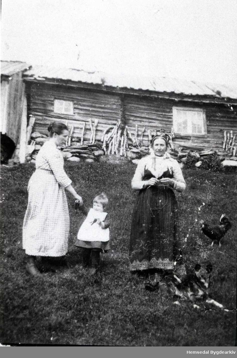 Gamlebua på Nysete på Jordheimstølane i Hemsedal  i 1924.
Frå venstre: Barbo Jordheim med dottera Ragnhild og Ragnhild Intelhus.
