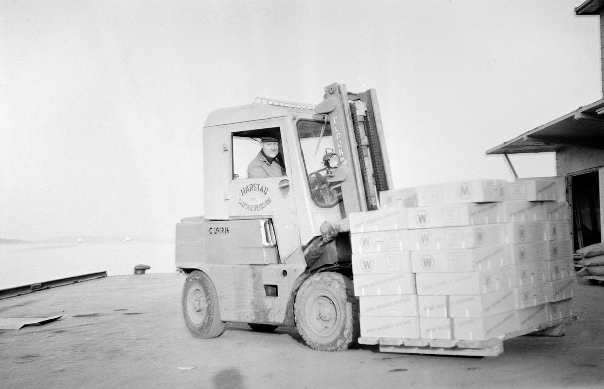 Truck med varer på palle, fotografert på dampskipskaia.