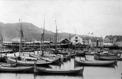 Nordlandsbåter og andre mindre fartøyer samlet ved dampskips