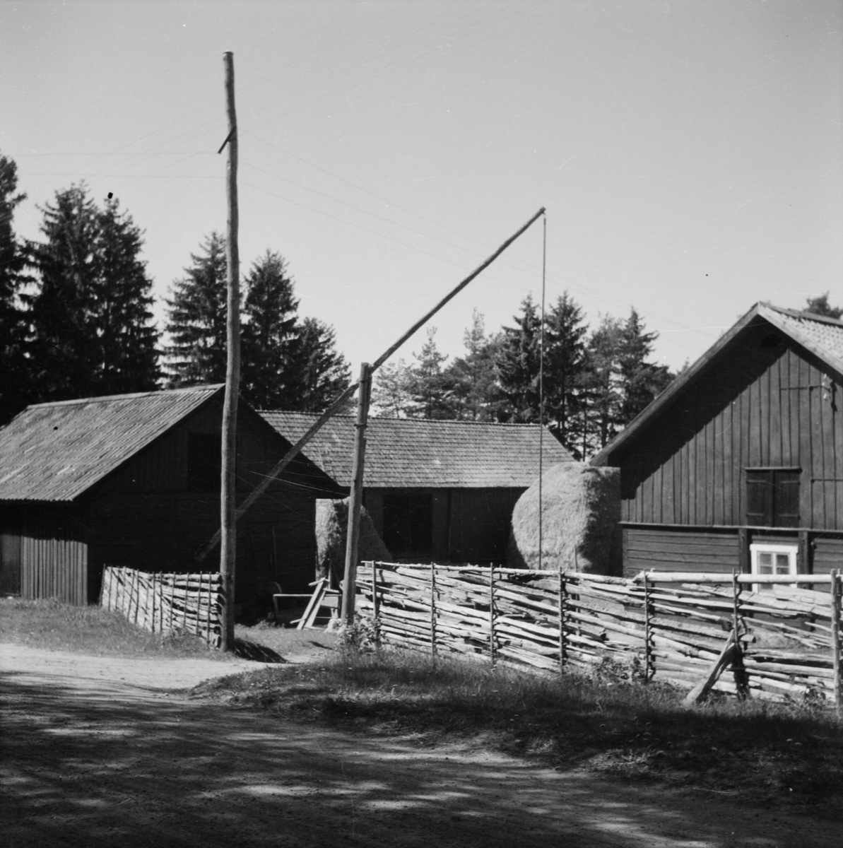Naturen kring Uppsala 1950