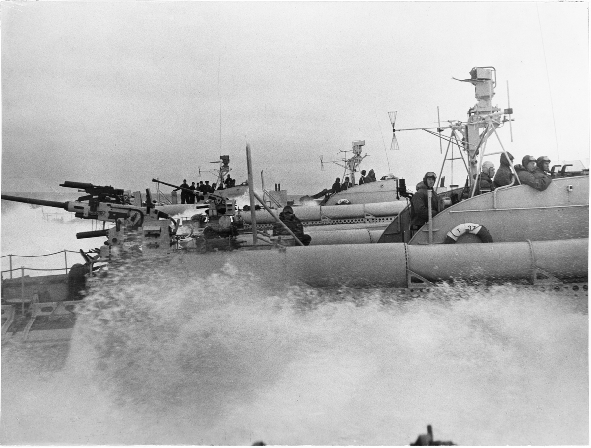 Motortorpedbåt T 37.