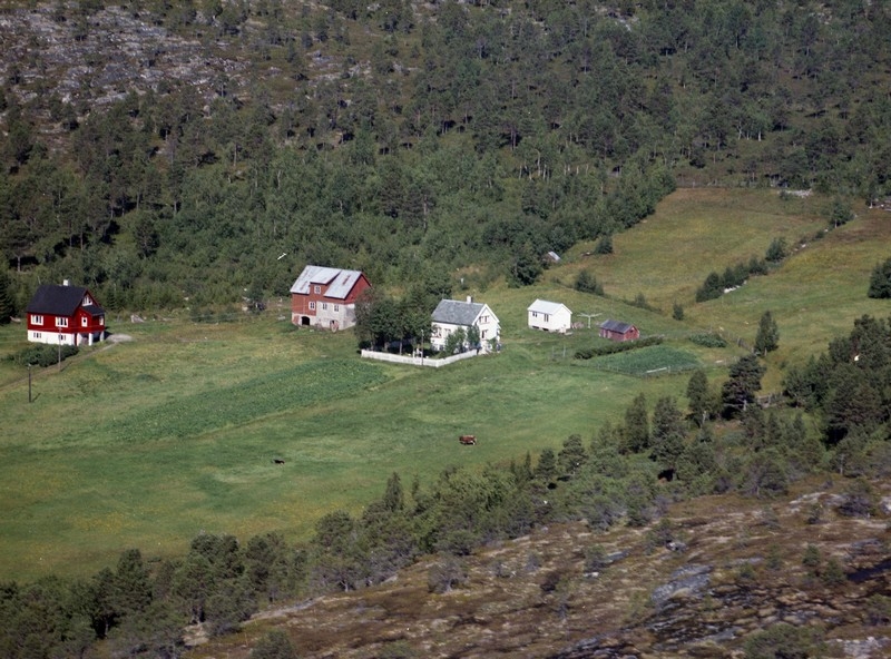 Gårdsbruk. Østvika. I huset til venstre bodde Anna og Johan Midtgard. I huset til høyre bodde Nikoline og Karl Østvik.
