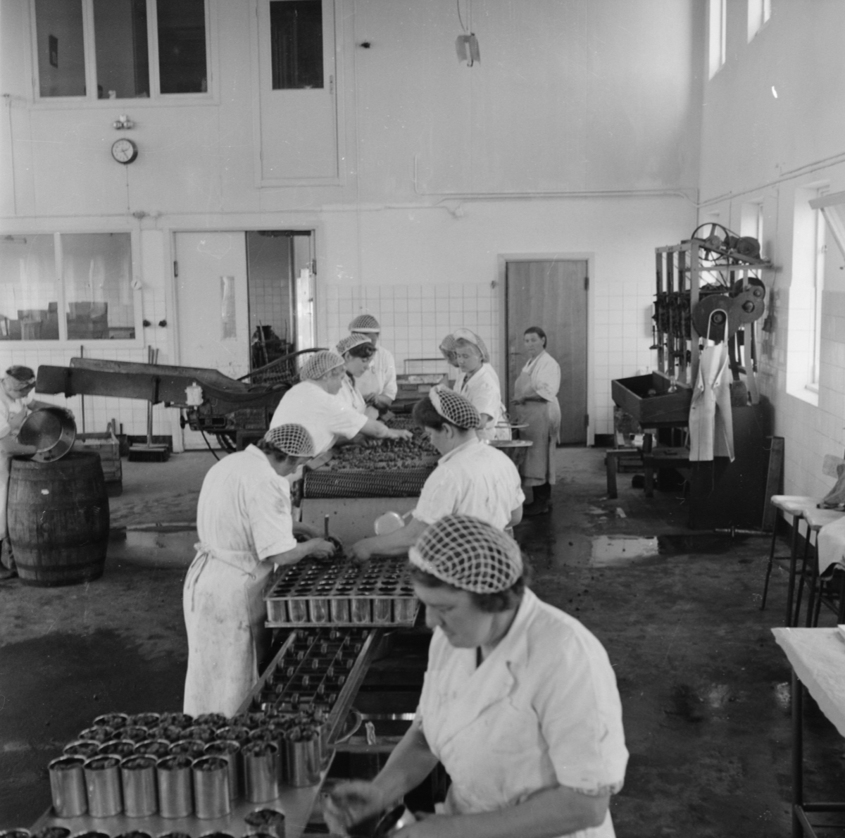 Kvinnor i arbete, Örnäs, Uppland 1952
