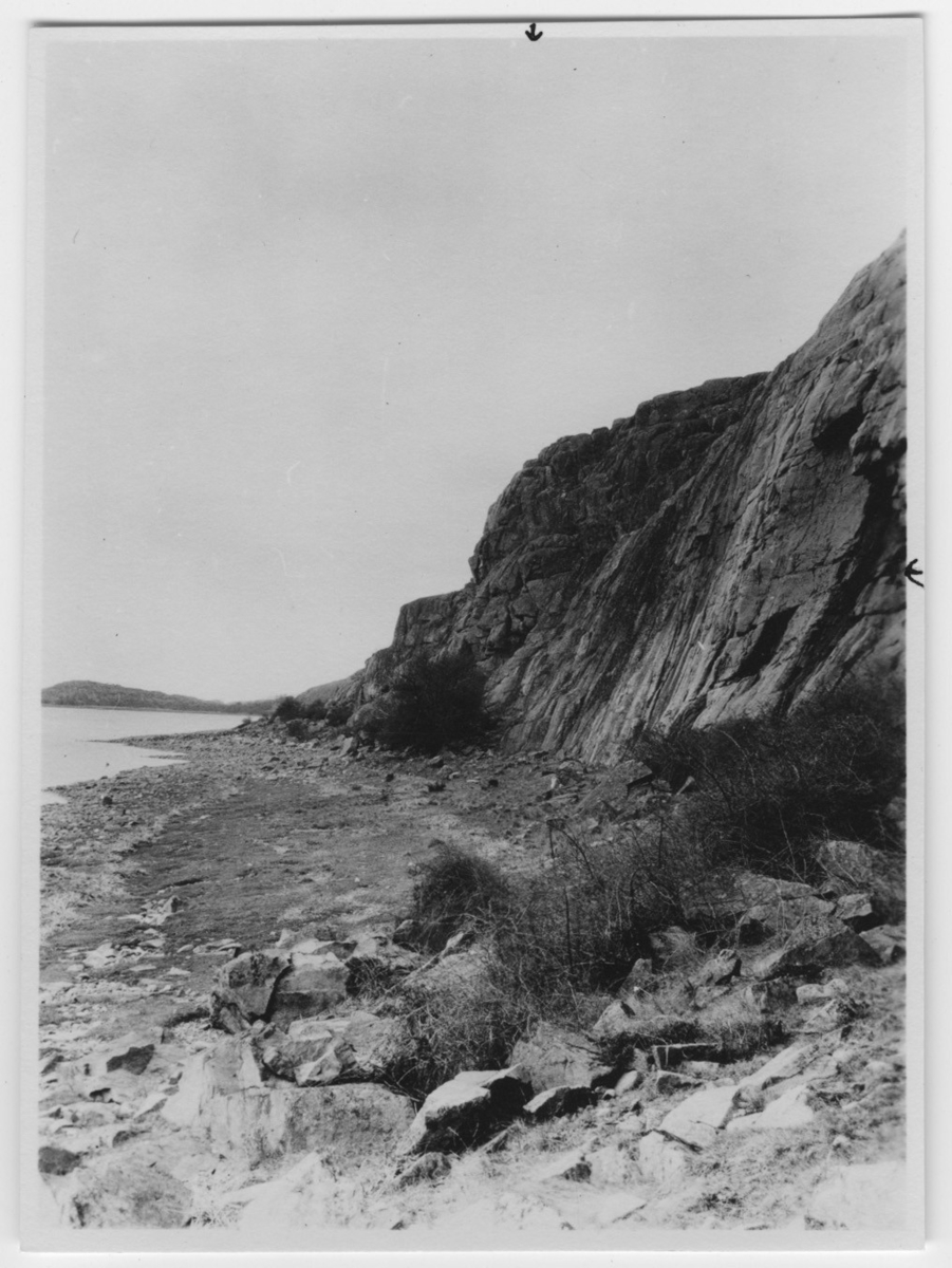 'Korp häckningsplats, vy med strand och berg. ::  :: Se serie med fotonr. 1174-1187.'
