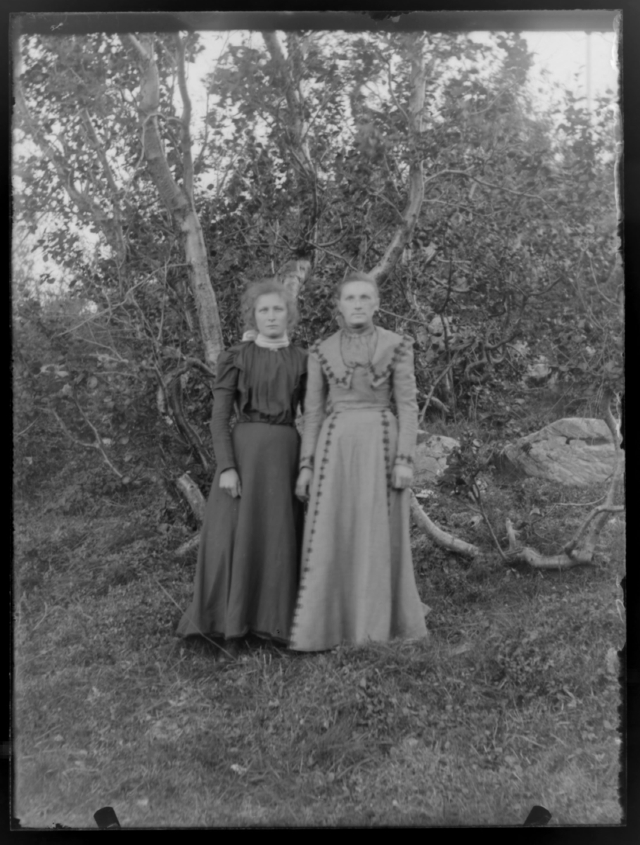 Johnsens og Brækkes døtre 1901