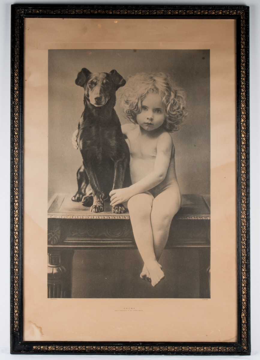 Portrett av et lite barn med lyse krøller og en sort hund