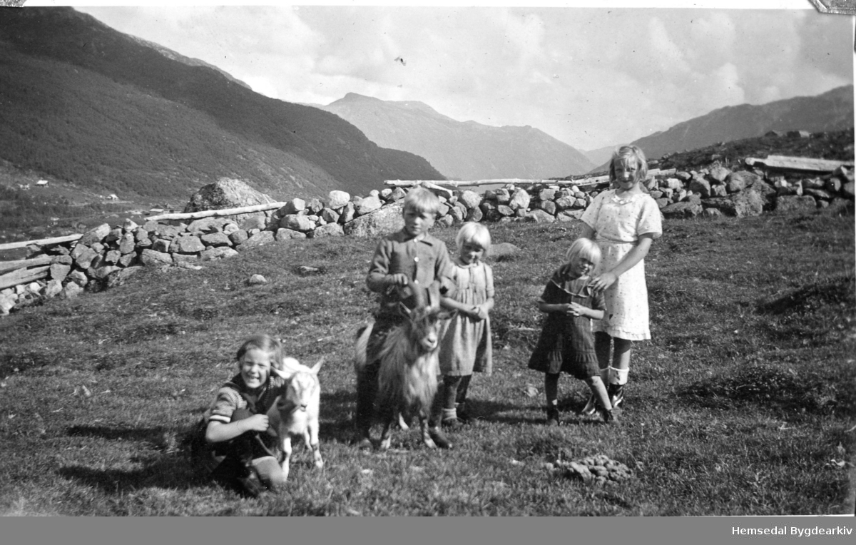 Frå venstre: byjente; Olav Haugen, fødd 1929; Borghild Haugen, fødd 1932; Ingrid Haugen, fødd 1934 og Gunhild Haugen, fødd 1925. Her på Heggjeslettene (Heggjislettat'n) i Hemsedal ca. 1939.