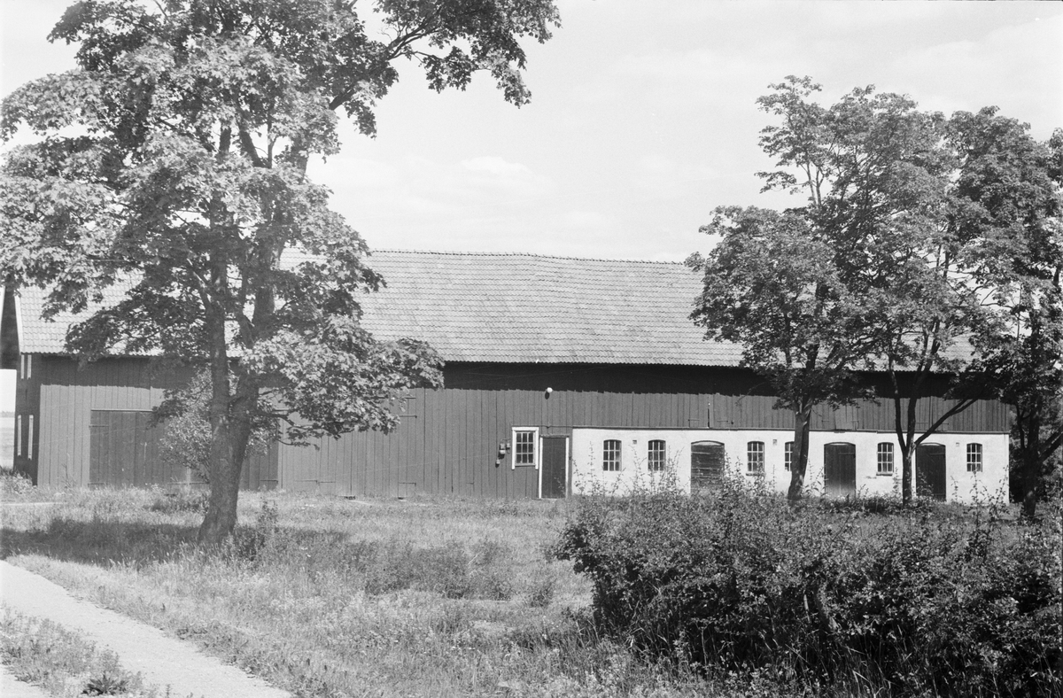 Ladugård och lada, Dragby 4:1, Skuttunge socken, Uppland 1976