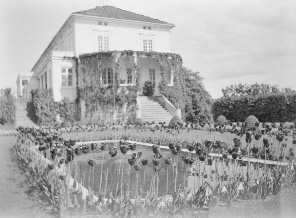 Den Victorianske hagen på Linderud Gård med fontene kranset med tulipaner. I bakgrunnen sees hovedhuset på Linderud Gård med verandaen.