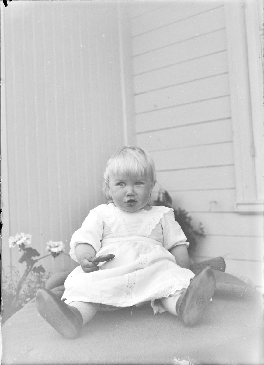 Et lite barn, trolig Iakob Ihlen Mathiesen, sitter i en huskrok. Barnet sitter på et pledd som er lagt oppå noe som hever barnet fra bakken. Blomster titter opp fra blomsterbed. I hånden holder barnet en kjeks.