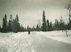 Veg brøytet med halvplog 1925