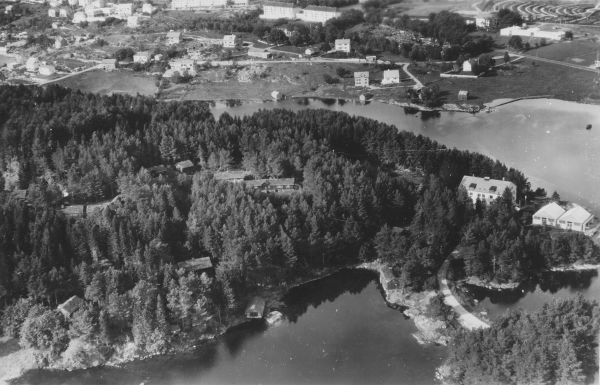 Flyfoto av museumsområdet ved Sunnmøre Museum fra 1954.