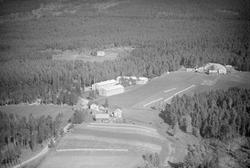 Dovrefjell Hotel, Dombås, Dovre, 15.09.1953, gårdsbruk, jord