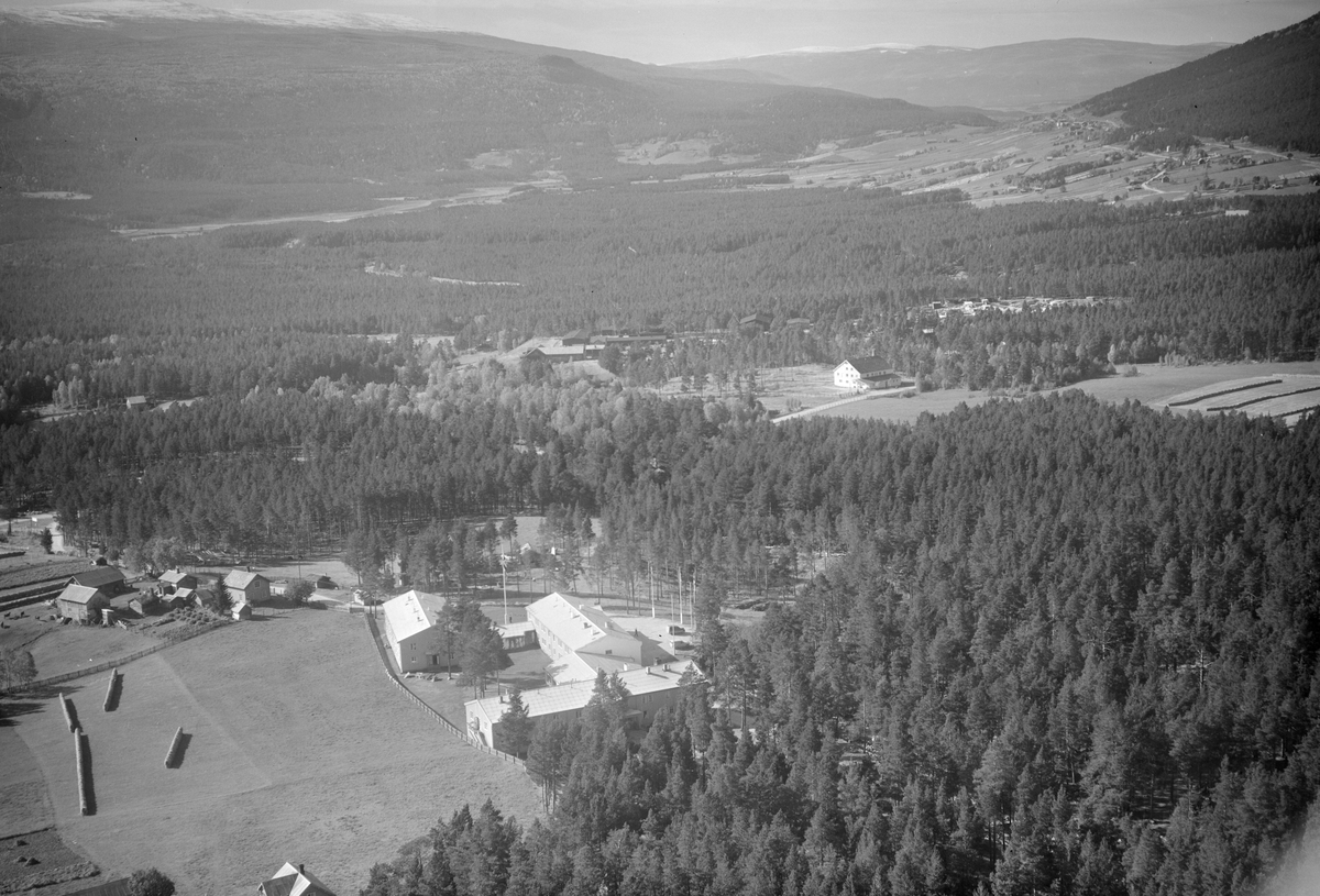 Dovrefjell Hotel, Dombås, Dovre, 15.09.1953, gårder, jordbruk, hesjing, barskog, åser og fjell i bakgrunnen