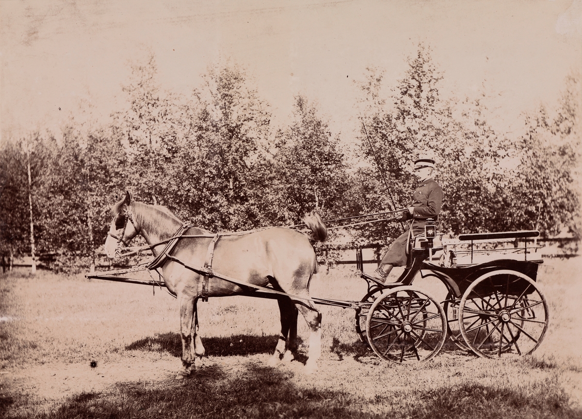 Kusk med to hester foran en lett vogn, trolig en slags Wagonette, stilt mot venstre.