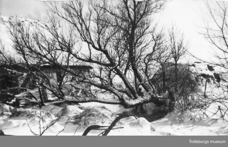 Snö och isvinter 1942 omkring 18 Mars, negativ 70:3444 Tommarpsvägen.