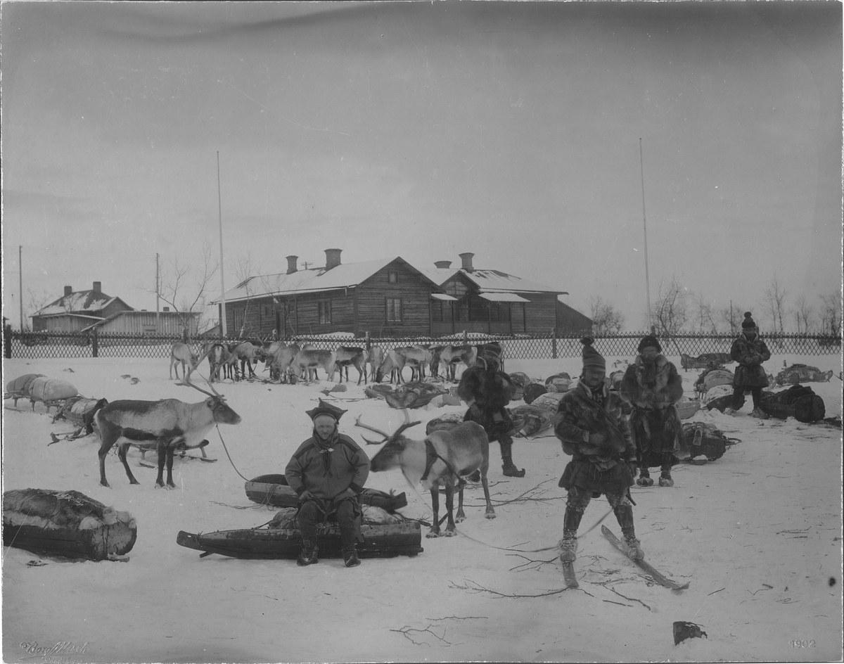 Samer med renar och renspan i Kiruna 1902.