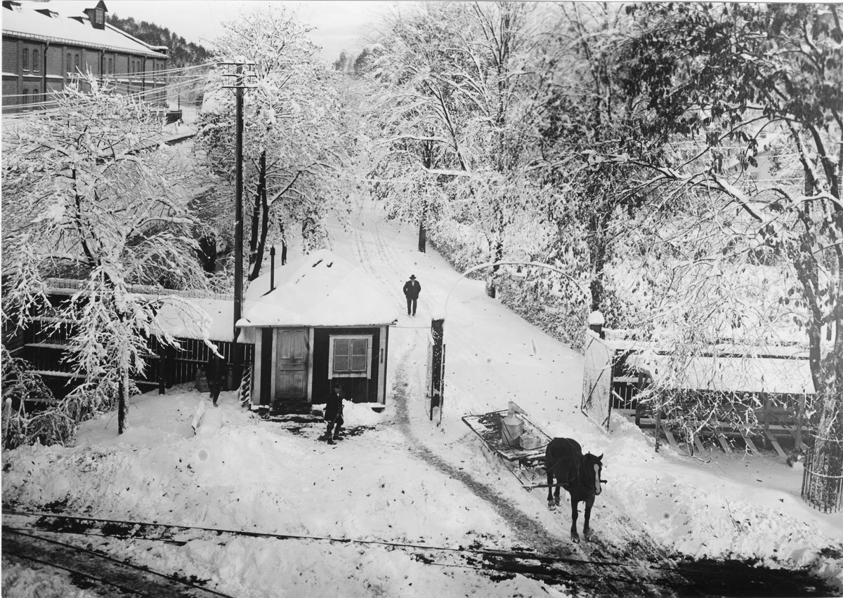 Norrahammars bruk. Bruksallén med portvaktarstugan i vinterskrud, 1928.