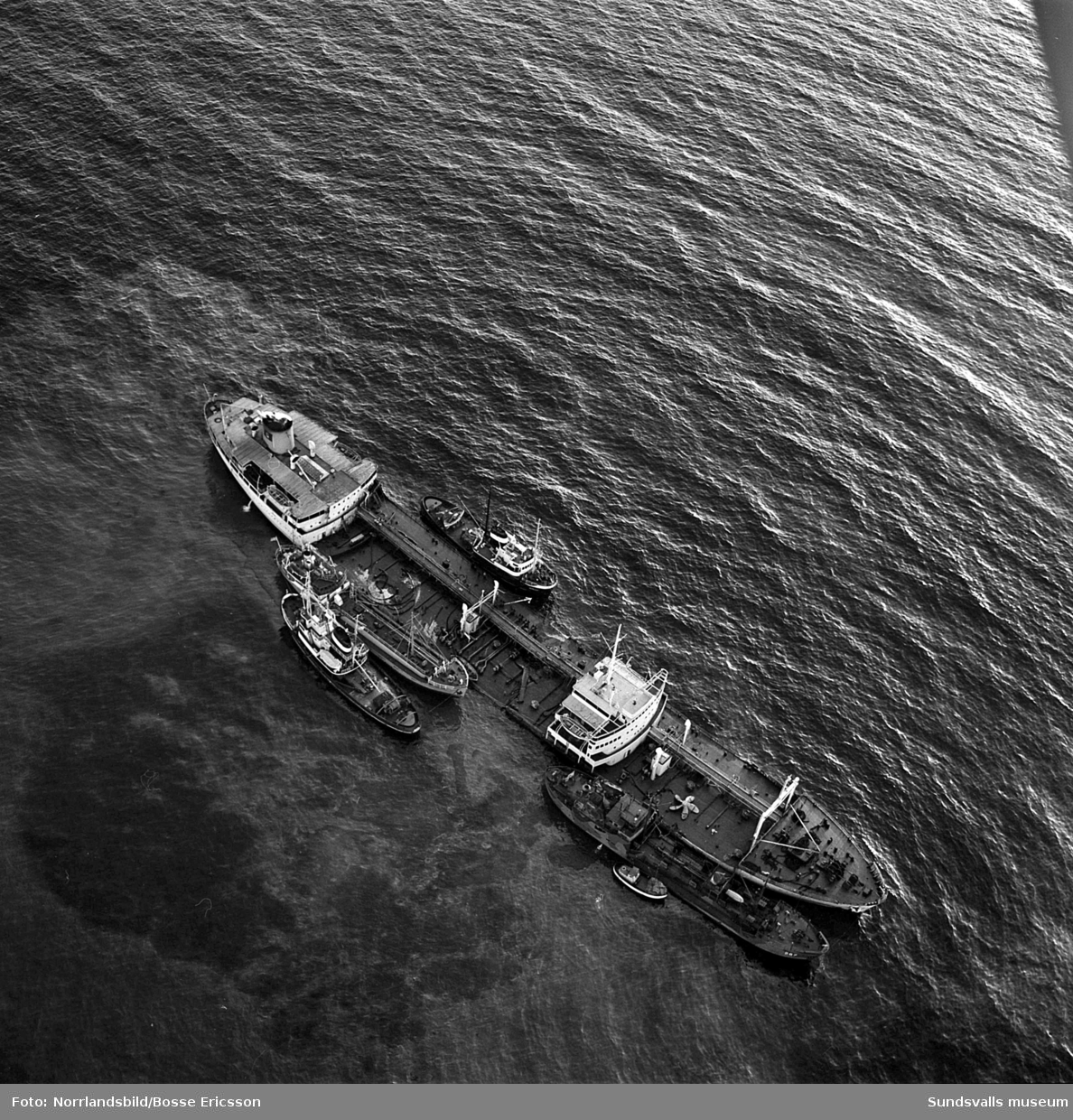 Flygfoton över den norska oljetankern Gogstad som strandade och bröts sönder vid Bremö kalv den 1 december 1964.