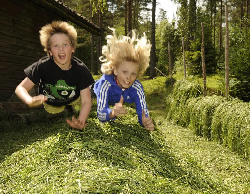 To gutter hopper i høyet. En viser tommel opp. Hår flagrer.