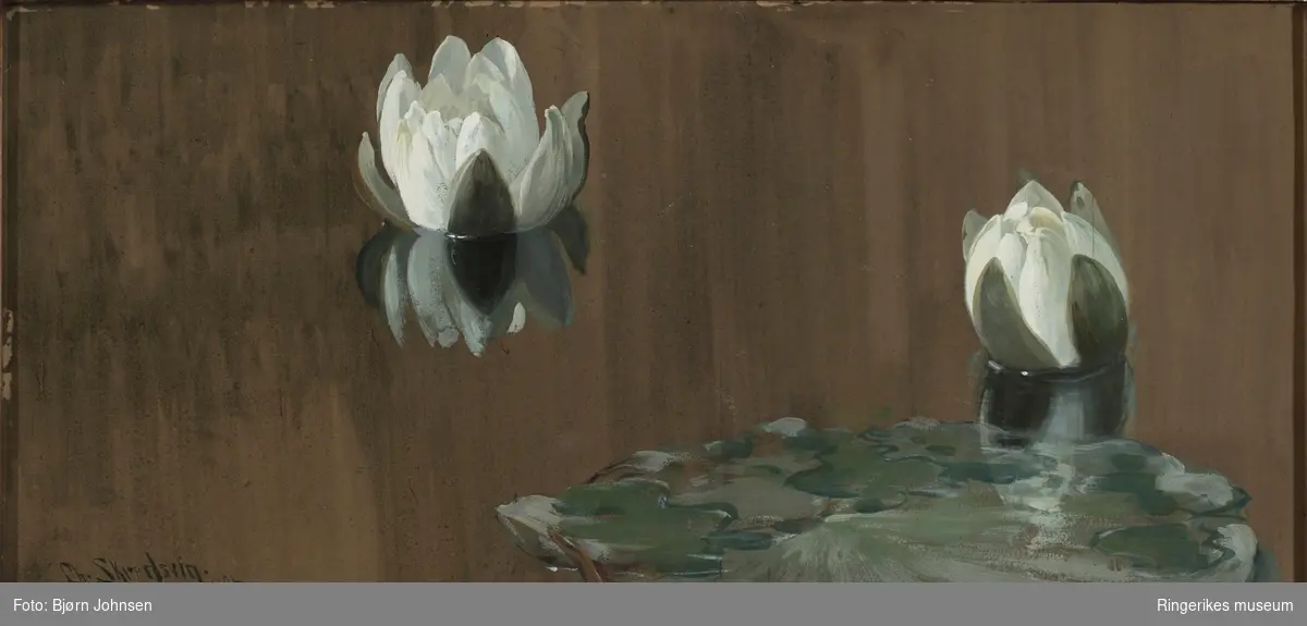 Gouache av vannliljer malt i 1886