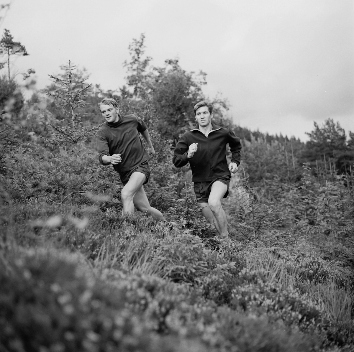 Harald Mjølne og Knut Bjørn Vagle trener for løpekonkurranser i skogen ved Kvernelands Fabrikk AS på Øksnevad