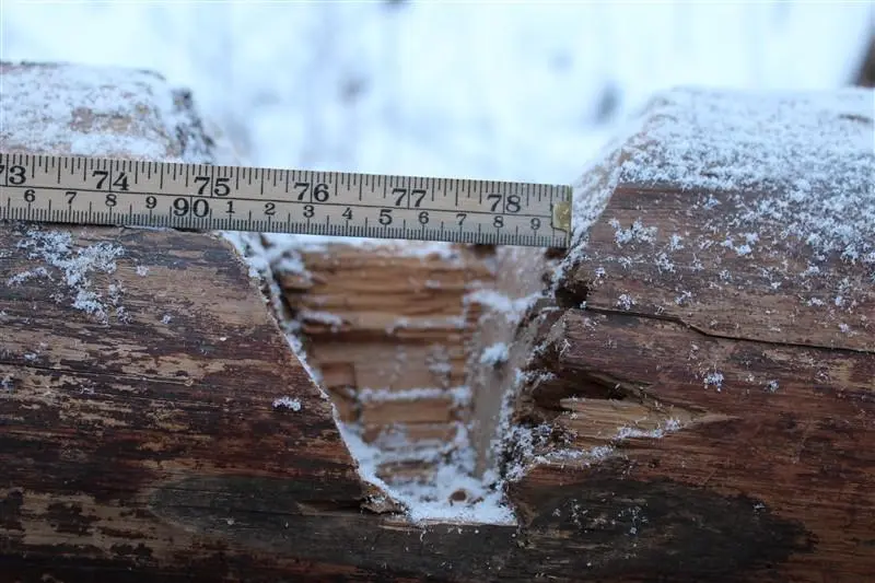 Et øksehogg i en tømmerstokk. Mest sannsynlig fra en tømmerknute. Hogget cirka 10 cm bredt på midten og er formet som en "V".