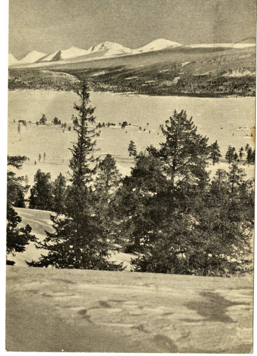 Postkort. Vinterlandskap i Rondane.
