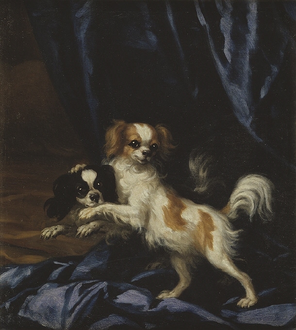 Två King-Charleshundar mot ett blått draperi (tillhöriga drottning Hedvig Eleonora) blicka ut mot åskådaren. Den ena är svartvit och ligger på en gul brun kudde, den andra vitbrun och står med tassarna stödd mot den första.