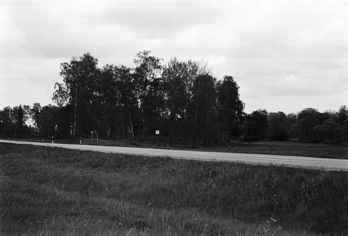 Gravfält öster om Stavby, Stavby socken, Uppland 1987