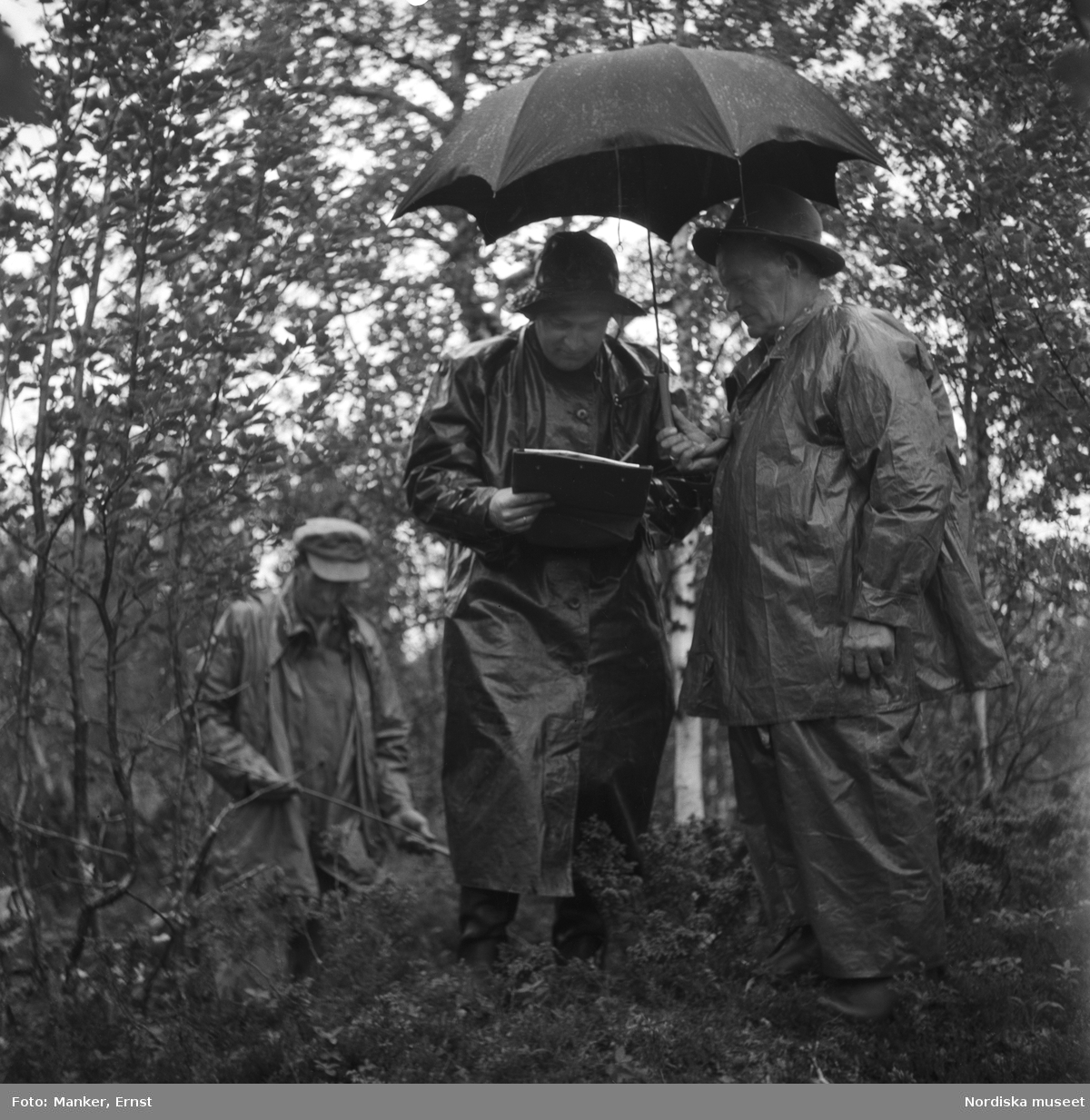 Från uppmätningen av fångstgropssystemet i regn. Westin, Johansson (med paraply) och Johnson. Under Nordiska museets Lappmarksinventering i Vuomavare.