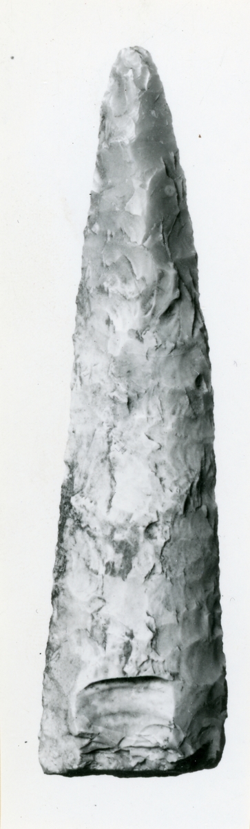Eldsberga sn. Tönnersa 2. T 03460:1-19 är ett samlat fynd av flintredskap, som påträffats i myllan i en granskog.