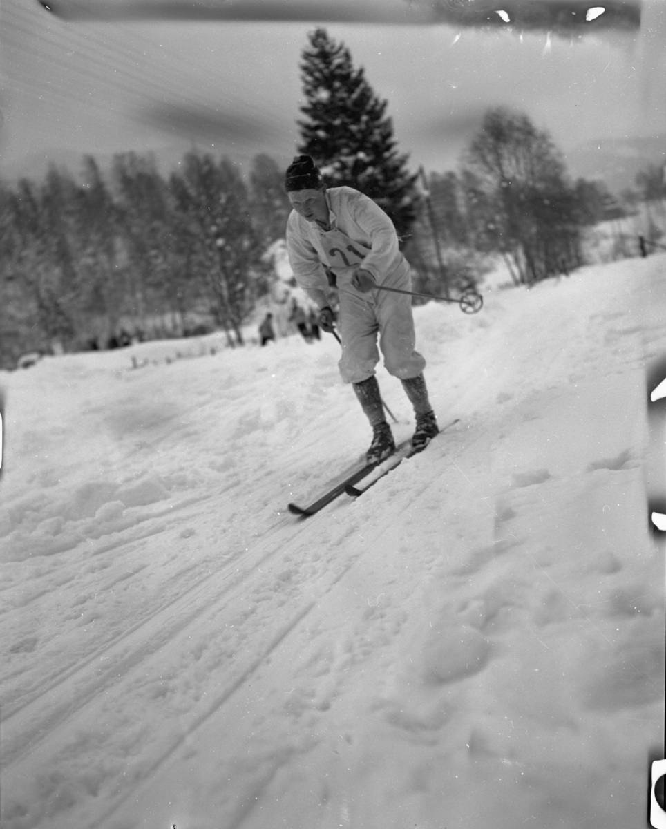 Vardens arkiv. "30 km landsrenn i Kviteseid"  25.02.1954