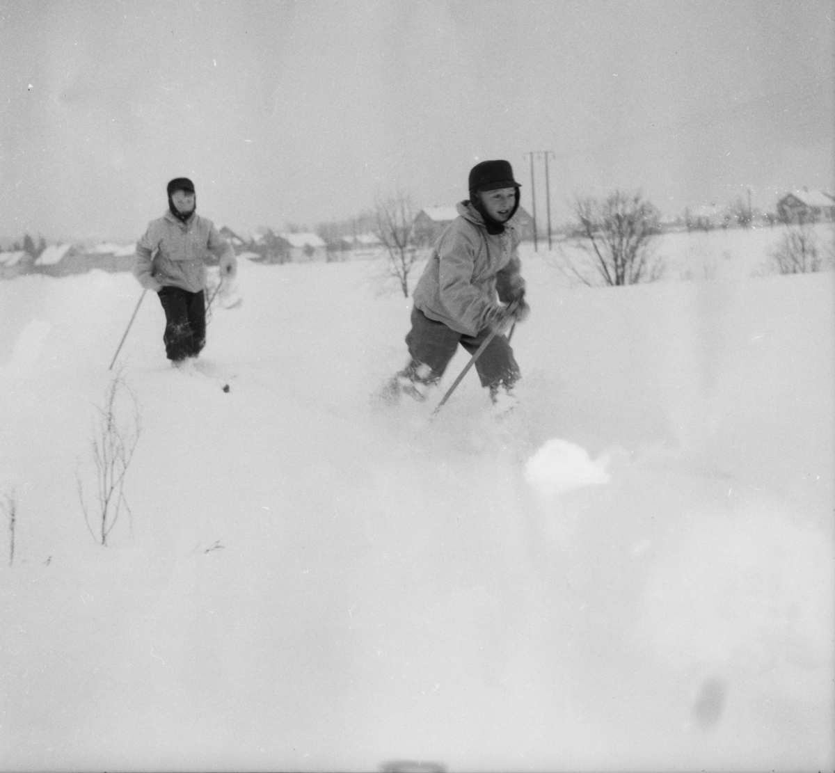 Vardens arkiv. "To unge skiløpere. Svein og Sten"  21.02.1954