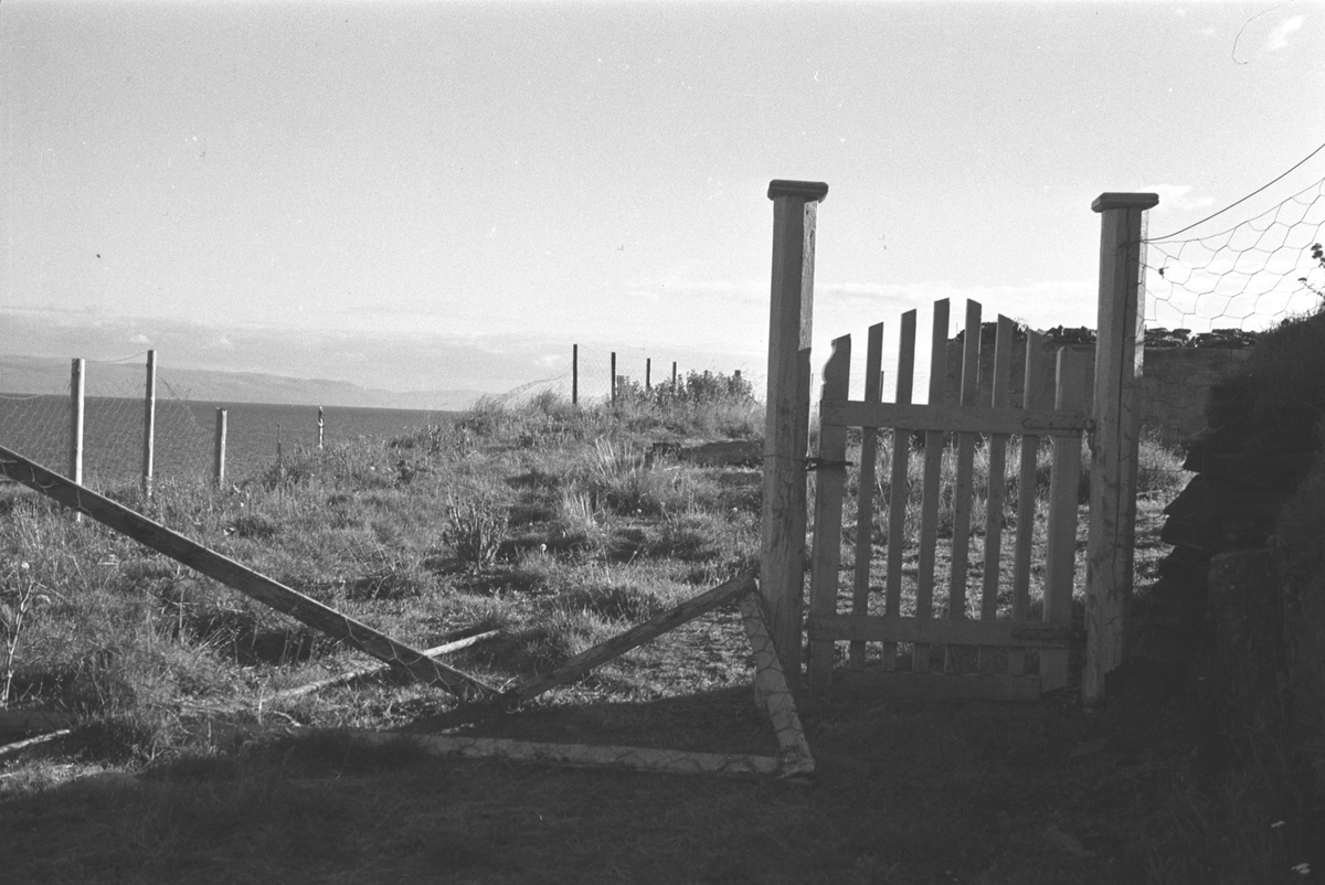 Gjenreisning. Ødeleggelse i Nordvågen. Rester av et nettinggjerde og en inngangsport. 1946/47.
