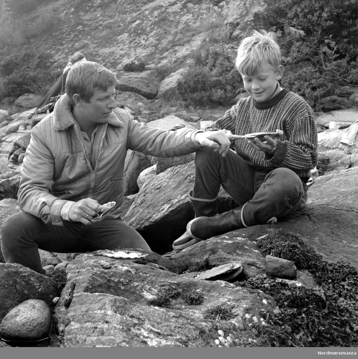 Fra en reportasje i Aftenposten om fiske mm. fra Vågen. Se brev 261/84, Arkiv nr. 44. Her ser vi fra tilberedingen av skjellene. Bildet er i serie med 1984/31:1 (KMb-1984-031.0001.jpg), og som er datert juni 1971. Nordmøre Museum