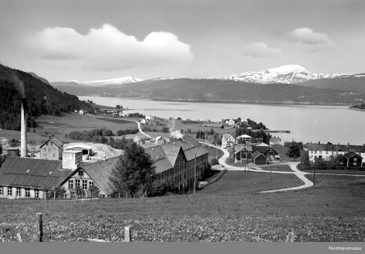 Postkort ";1040"; med motiv fra Rimstad i Tingvoll kommune. Her ser vi fra ullvarefabrikken i forgrunnen til venstre, med deler av bygda i bakgrunnen. Datering er omkring 1952 til 1955. Fra Nordmøre Museums fotosamlinger.

