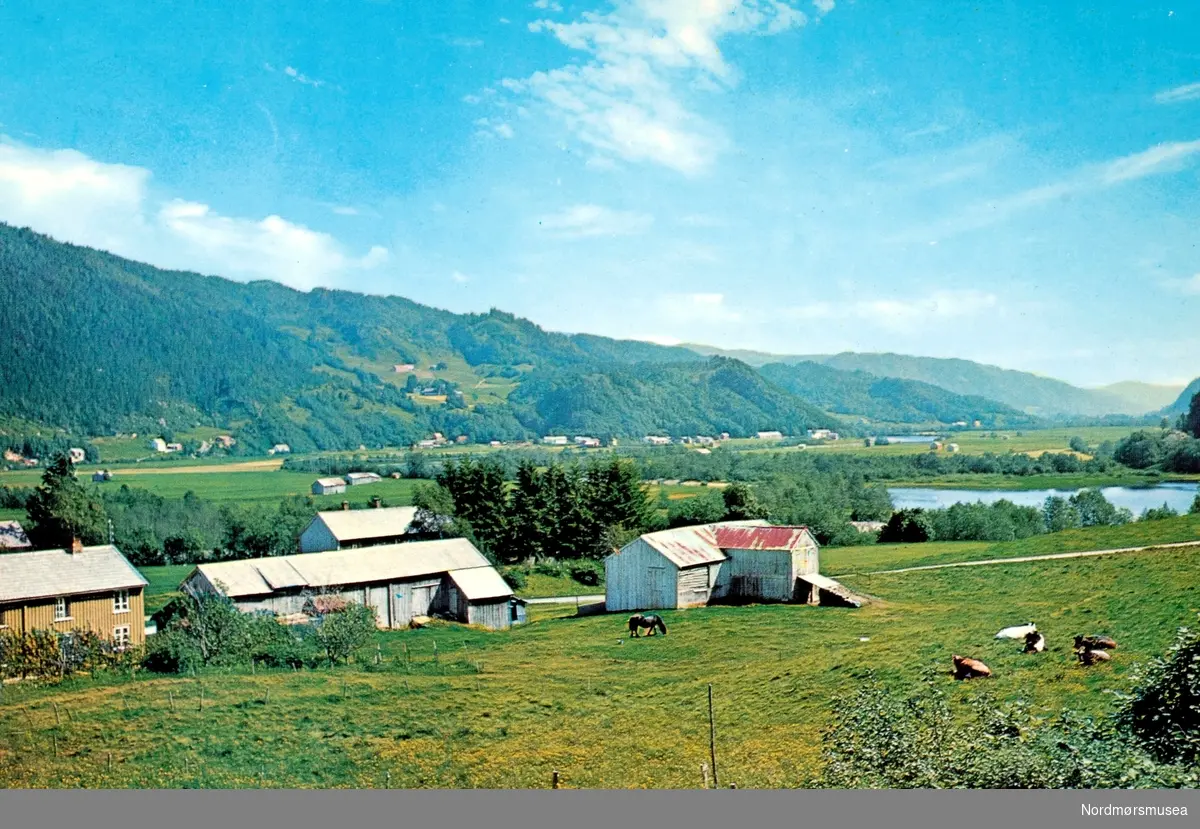 Postkort: ";F-5425-2 Surnadal. Norway"; Foto fra et gårdbruk med beitemark, med bygda i bakgrunnen i Surnadal kommune. Fra Nordmøre museums fotosamlinger.
