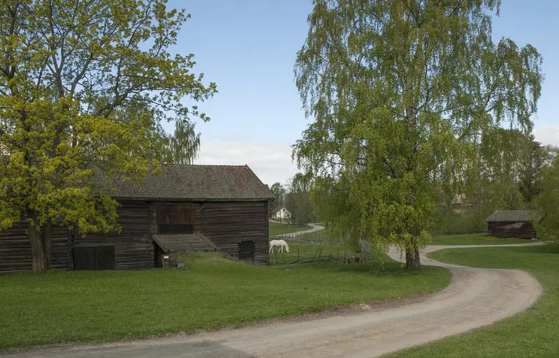 Grusveg som svinger seg foran en grå tømmerlåve med låvebru, og ei bjørk.