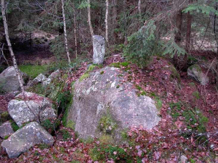 Gränsmärke
Foto av gränsmärke i form av ett jordfast block, på blocket är en sten uppställd.      
Raä 198 a, 2010-11-16, reg i FMIS