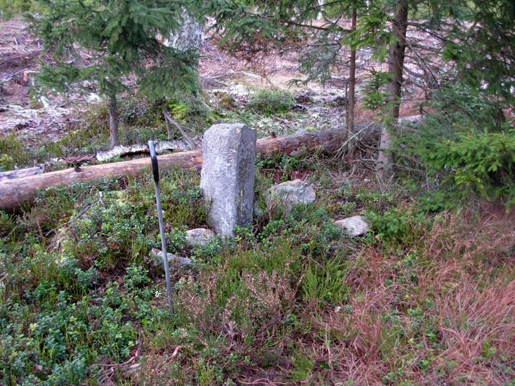 Vettare
Foto av gränsmärke i form av en s.k. vettare,  beståense av 5 resta stenar. Ett par stenar är kullfallna.
Raä 201 c, 2010-11-16