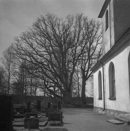Långasjö kyrka med kyrkogård.