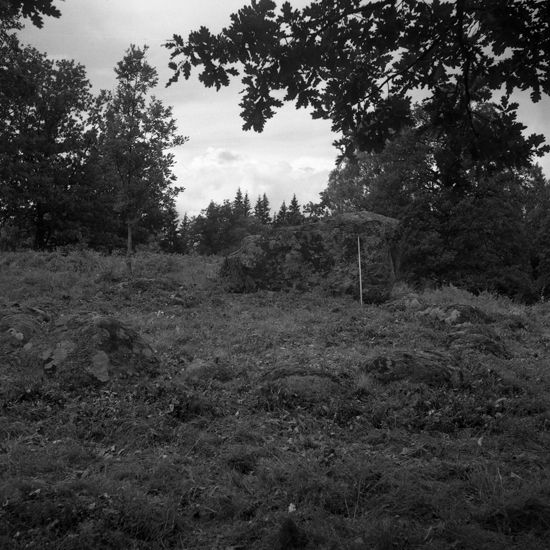 Linnebjörke, gravfält RAÄ 18:1. 1954