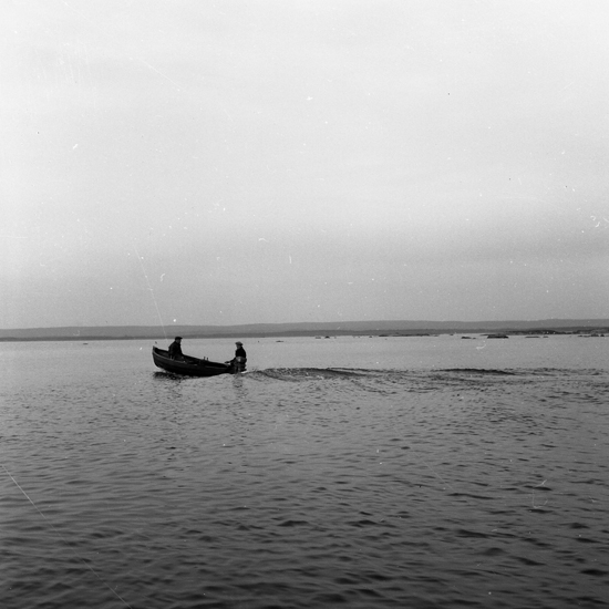 Två män i en eka med motor. De arbetar med att fånga fisk med hjälp av nät.