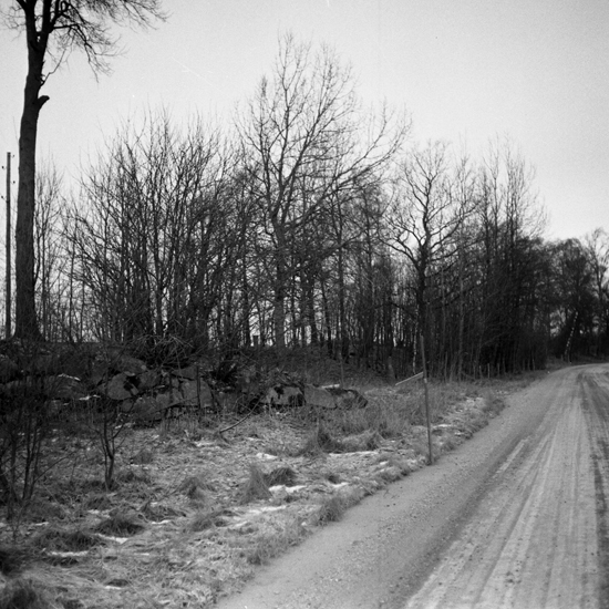 Foto av en stenmur/stengärdesgård med en väg till höger.