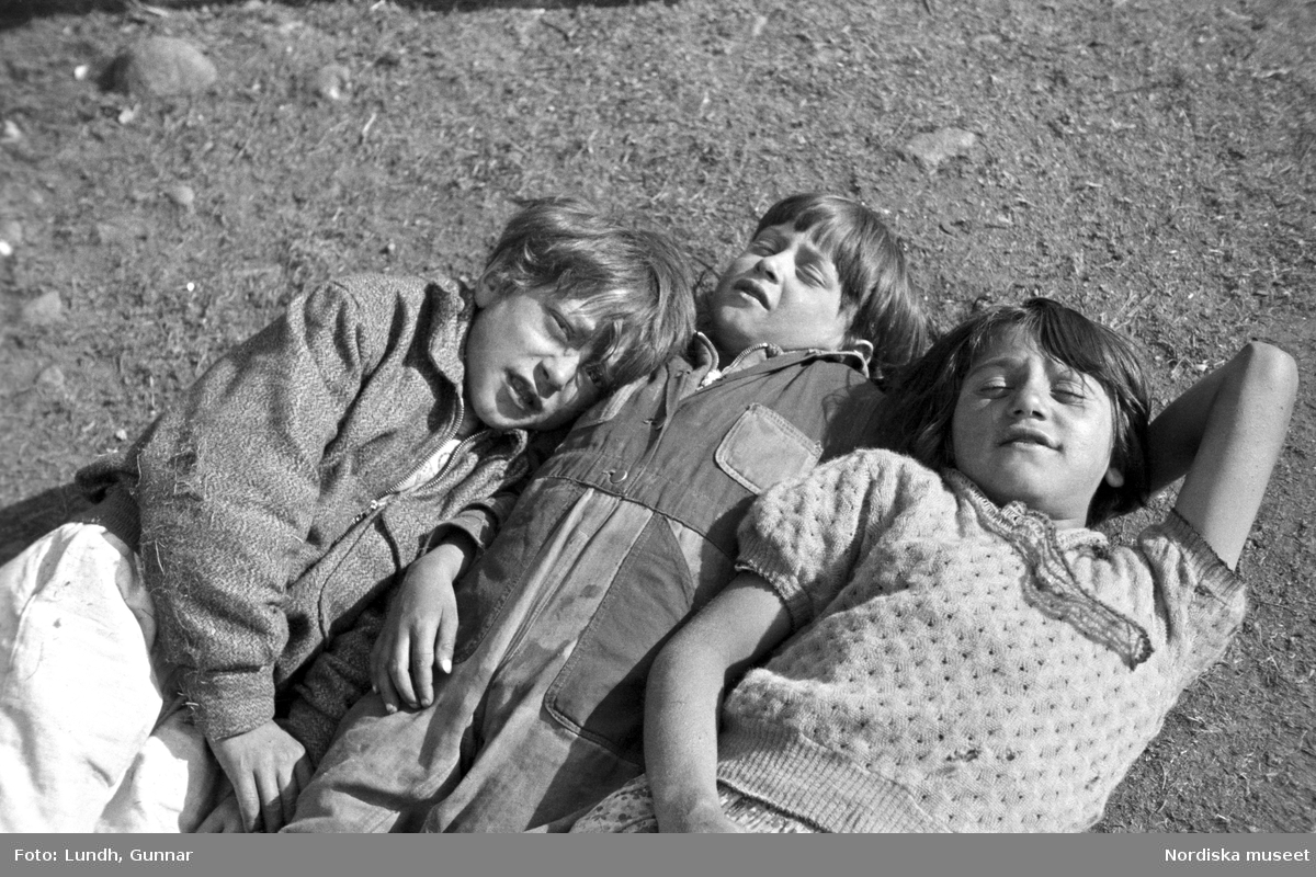 Tre barn ligger i gräset. Familjen Taikons läger i Johanneshov, södra Stockholm.